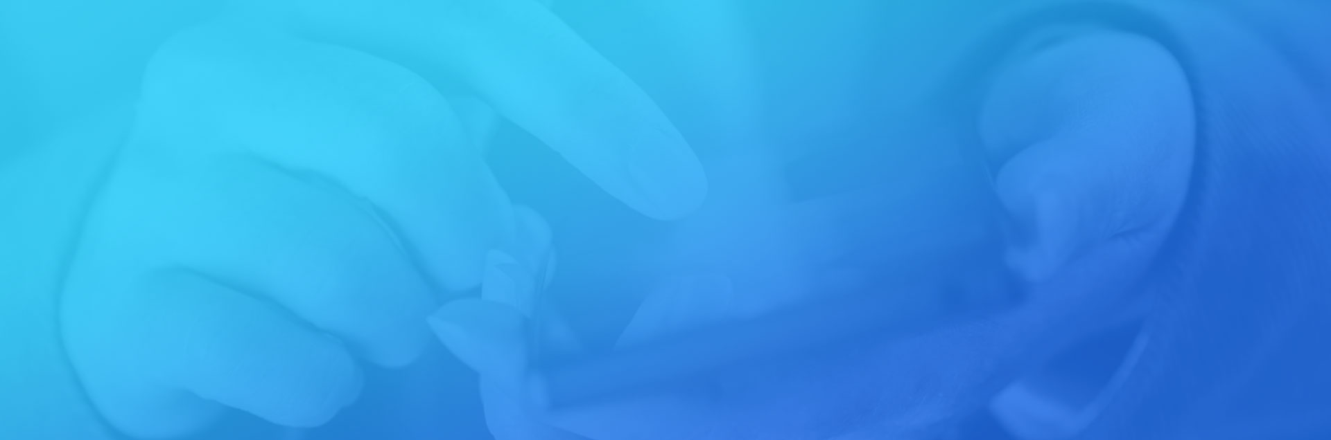 一網天行-網站建設|微信開發|小程序開發 一網天行-網站建設|微信開發|小程序開發